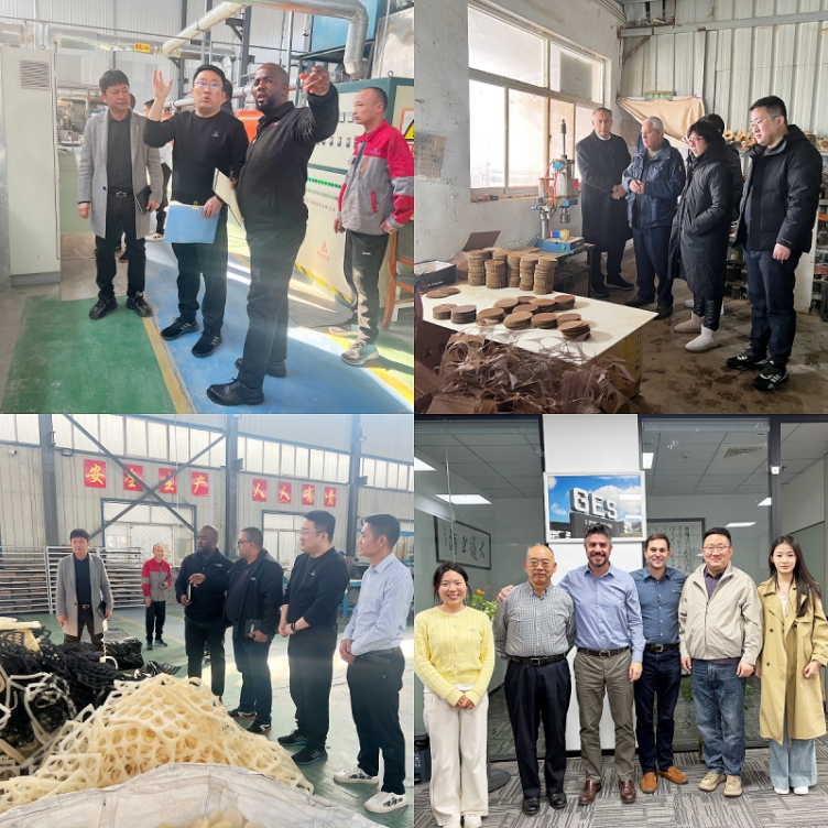 Global Clients Visit to Hebei CangChen in Recent Years Global Clients Visit to Hebei CangChen in Recent Years