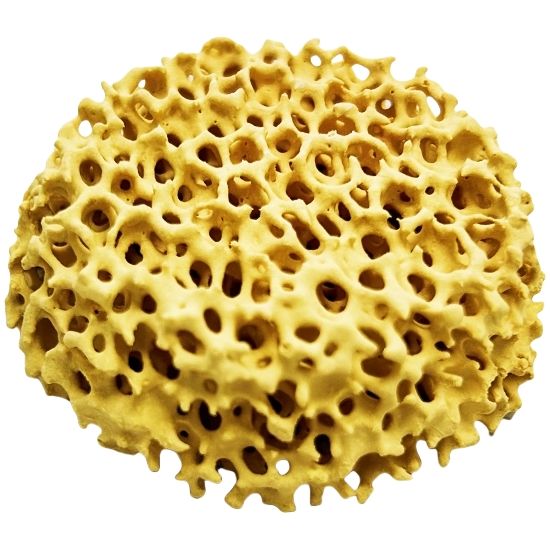Zirconia Ceramic Foam Filter For Steel and Alloy